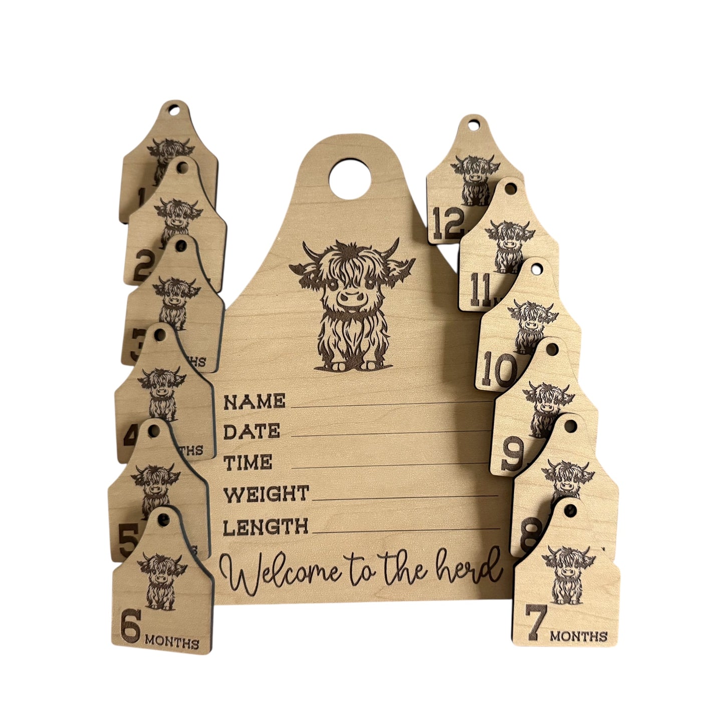 Highland Cow Baby Announcement & Milestone Markers