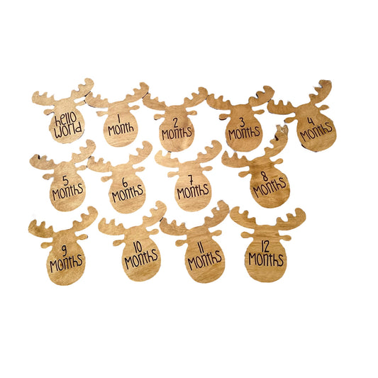 Moose Baby Milestones